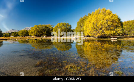 I colori dell'autunno del Lago Tekapo, Nuova Zelanda. Foto Stock