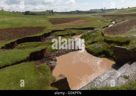 Nord Shewa, Amhara, Etiopia, Ottobre 2013: l'erosione del fiume. Foto Stock
