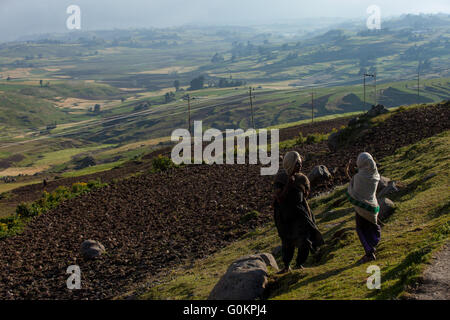 Villaggio Furamariam, Debele, Amhara, Etiopia, Ottobre 2013: Bambini imbrancandosi animali nella valle spazzate dal vento. Foto Stock