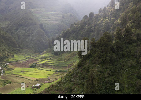 Ankober Woring Mesche Kebele, Nord Shewa, Etiopia, Ottobre 2013: pendii ripidi sono state in parte terrazzato. Foto Stock