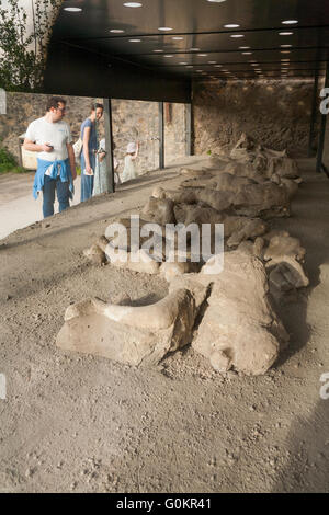 Tourist turisti nel Giardino dei fuggiaschi; getta / cast di morti fuggitivo / corpo / corpi di gesso Pompei Pompei Napoli Italia Foto Stock