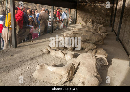 Tourist turisti nel Giardino dei fuggiaschi; getta / cast di morti fuggitivo / corpo / corpi di gesso Pompei Pompei Napoli Italia Foto Stock