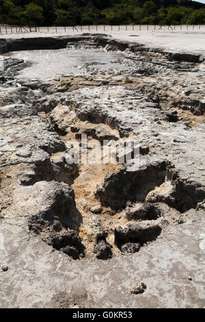 Bolle d'aria e fumi sulfuree salire dal fango piscina / piscine. Vulcano Solfatara, Pozzuoli nr Napoli Italia; Campi Flegrei area vulcanica Foto Stock