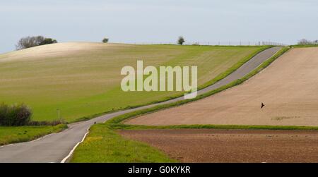 Una strada il taglio attraverso un paesaggio di campi arati con un corvo battenti Foto Stock