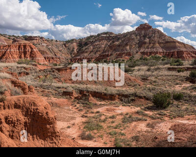 Picco e scogliere lungo il sentiero, Lighthouse Trail, Palo Duro State Park, Texas. Foto Stock