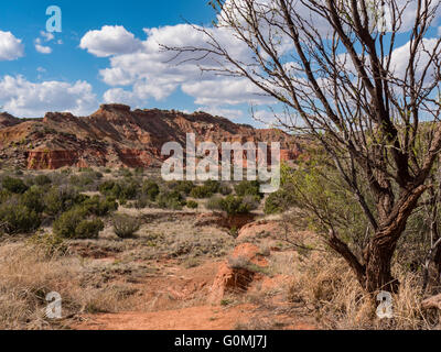 Picco e scogliere lungo il sentiero, Lighthouse Trail, Palo Duro State Park, Texas. Foto Stock