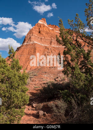 Picco e scogliere lungo il sentiero, Lighthouse Trail, Palo Duro State Park, Texas. Foto Stock