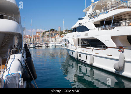 Luxury Yacht ormeggiati a Cannes, Francia. La città vecchia di Le Suquet è in background. Foto Stock