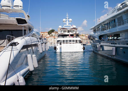 Luxury Yacht ormeggiati a Cannes, Francia. La città vecchia di Le Suquet è in background. Foto Stock