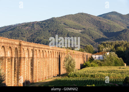 La sezione dell'Acquedotto Nottolini in Toscana vicino a Lucca, Italia che conduce alla montagna. Serata calda luce. Toscana classica. Foto Stock