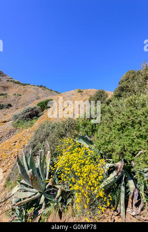 Parc du Mugel la Ciotat Francia Bdr Provenza Foto Stock