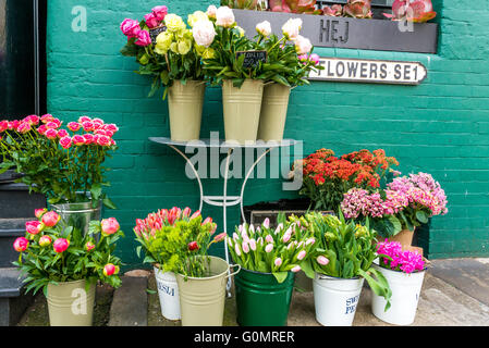 London, Regno Unito - 30 Aprile 2016: fiori stallo a Bermondsey Square, Londra Foto Stock