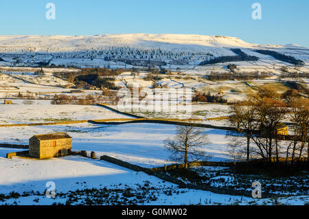 Scena invernale a capo di Wensleydale vicino Hawes nel North Yorkshire. La collina alle spalle è incantevole sede Foto Stock