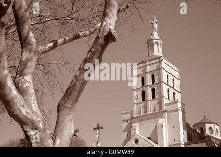 Avignon chiesa cattedrale, Francia in bianco e nero tonalità seppia Foto Stock