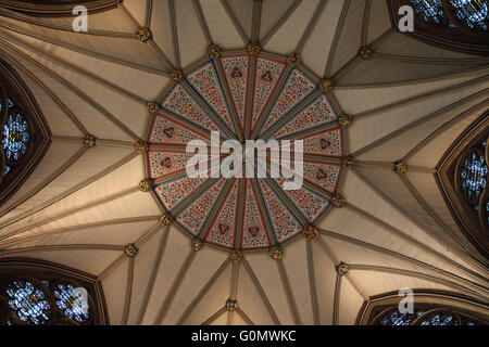 Il soffitto a volte a casa del Capitolo a York Minster mostra intricati dettagli ed artigianato Foto Stock