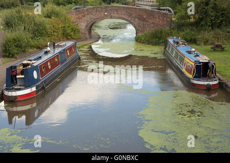 Canal lunghe barche in Shropshire Union Canal a Ellemere Port, Regno Unito Foto Stock