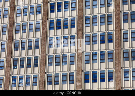 County Hall Norwich ufficio finestre. Foto Stock