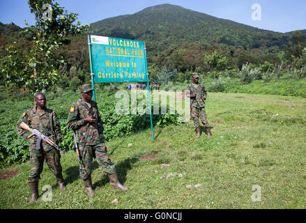 Fotografia di © Jamie Callister. Il Dian Fossey tomba e ex-campeggio, Parco Nazionale Vulcani, Ruanda, Africa centrale, Foto Stock