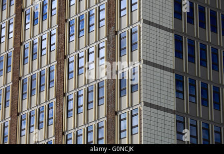 County Hall Norwich ufficio finestre. Foto Stock