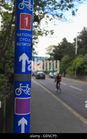 Ciclista urbano e ciclo nazionale Network sign. Foto Stock