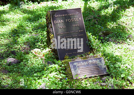 Fotografia di © Jamie Callister. Il Dian Fossey tomba e ex-campeggio, Parco Nazionale Vulcani, Ruanda, Africa centrale, Foto Stock