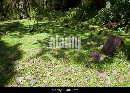 Fotografia di © Jamie Callister. Il Dian Fossey tomba e ex-campeggio, Parco Nazionale Vulcani, Ruanda, Africa centrale, Foto Stock