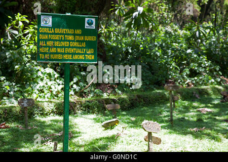 Fotografia di © Jamie Callister. Il Dian Fossey tomba e ex-campeggio, Parco Nazionale Vulcani, Ruanda, Africa centrale, Foto Stock