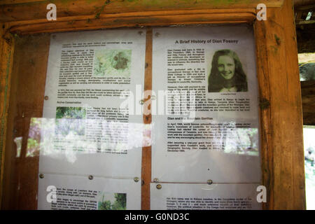 Fotografia di © Jamie Callister. Il Dian Fossey tomba e ex-campeggio, Parco Nazionale Vulcani, Ruanda, Africa centrale, Foto Stock