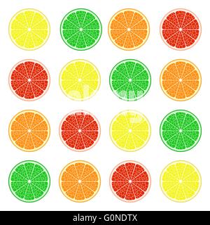 Set di frutta: limone, lime, arancia, pompelmo. EPS vettoriali10 Illustrazione Vettoriale