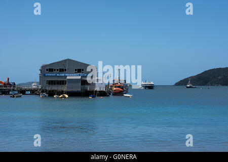 Nuova Zelanda, Isola Stewart Rakiura aka, la terza isola più grande del paese. Halfmoon Bay (Oban). Ferry Terminal. Foto Stock