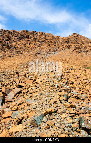 Giallo secco frastagliate rocce rotte e detriti di pietra sul pendio montano contro il cielo, ad alpeggi, Parco Nazionale Gros Morne. Foto Stock