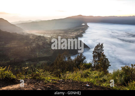 Vista sul Monte Bromo area prima di sunrise Foto Stock