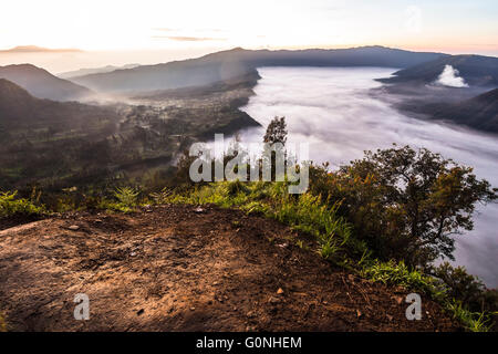 Vista sul Monte Bromo area prima di sunrise Foto Stock