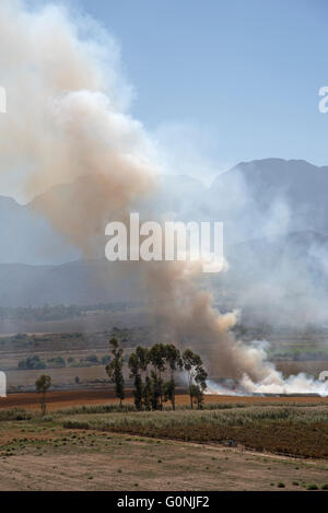 Fumo di un fuoco che arde fuori da un campo di agricoltori nella Western Cape Sud Africa Foto Stock