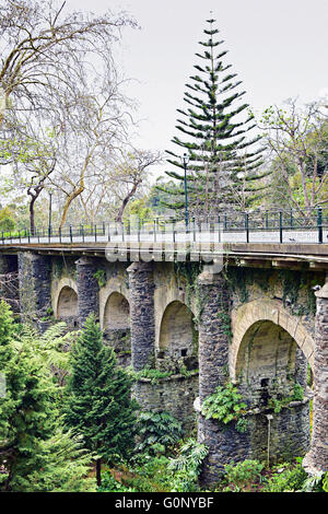 Il vecchio ponte della ferrovia a Monte, Madeira, Portogallo Foto Stock