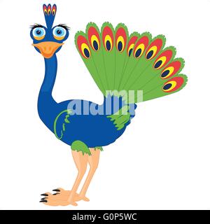 Illustrazione Vettoriale di uccelli esotici peacock su sfondo bianco Illustrazione Vettoriale