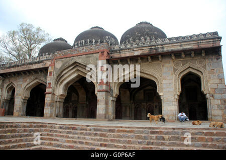 Archi sui lati della Bada Gumbad moschea, Lodhi Gardens, Delhi, con iscrizioni e cupole sulla parte superiore Foto Stock