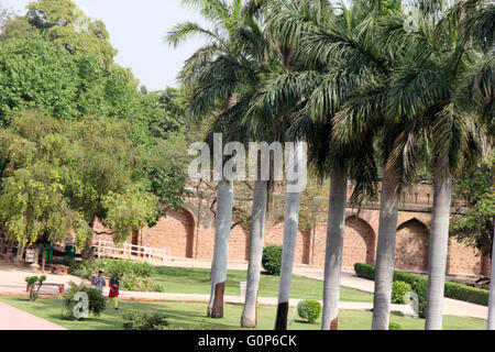 Tomba di Safdarjung, Nuova Delhi, India, giardino con due righe del Royal Palm e il canale centrale e il cancello principale come si vede dalla tomba Foto Stock