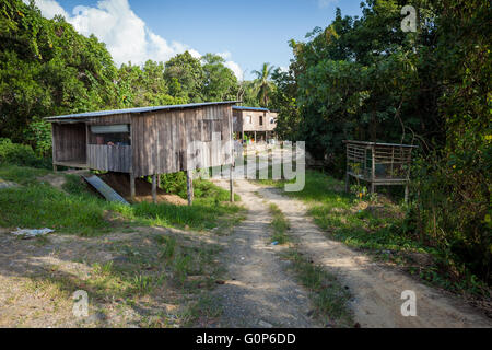 Tipica casa in legno trovata nel nord Borneo (sabah) su palafitte in assenza di alimentazione di rete o le finestre di vetro. Foto Stock