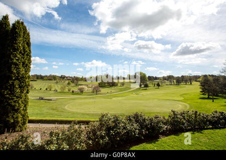 Campo da golf fairway sotto un cielo di estate blu Foto Stock