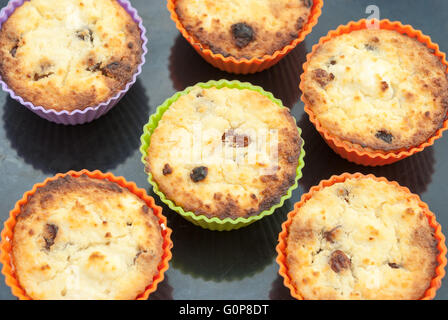Cottage cheese syrniki, cotto come tortine o muffin, in muffin colorati tazze sul forno-tray closeup. Foto Stock