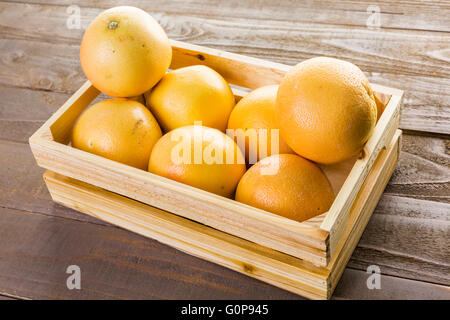 Ryby freschi Pompelmi rosso in cassa di legno. Foto Stock