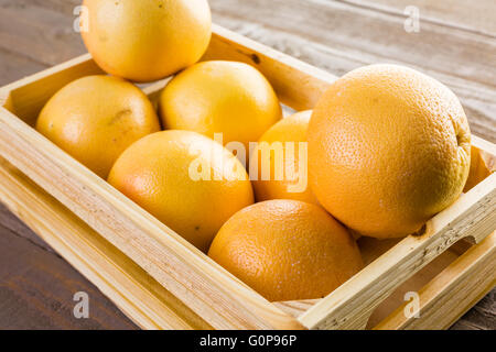 Ryby freschi Pompelmi rosso in cassa di legno. Foto Stock