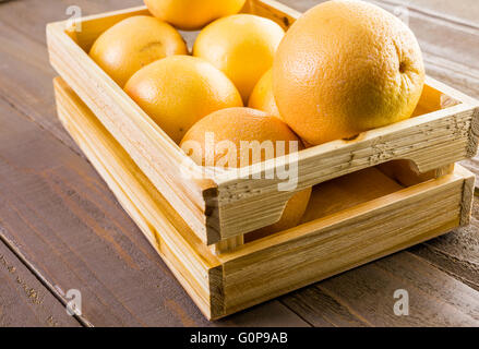 Ryby freschi Pompelmi rosso in cassa di legno. Foto Stock