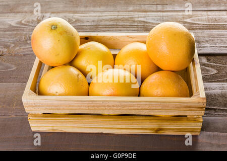 Ryby freschi Pompelmi rosso in cassa di legno. Foto Stock