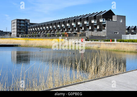 Barking Riverside nuovo moderno alloggio a terrazze e lago paesaggistico nel Regno Unito più grande programma di rigenerazione residenziale sul sito della vecchia Barking Power Station UK Foto Stock