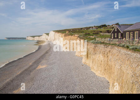 Birling Gap (una spiaggia di sabbia e ciottoli vicino a Eastbourne) e il 'Sanche sorelle' scogliere, East Sussex, Inghilterra. Foto Stock