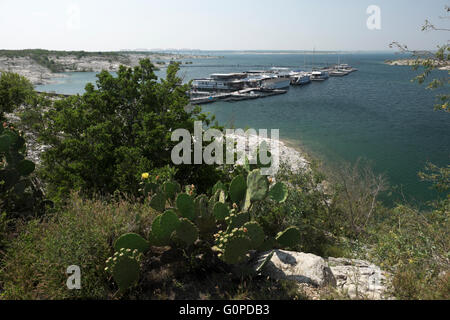 Ficodindia cactus, Black Thorn spazzola e Mesquite si affacciano su una marina al governatore del punto di atterraggio su lago Amistad nei pressi del Rio, Foto Stock