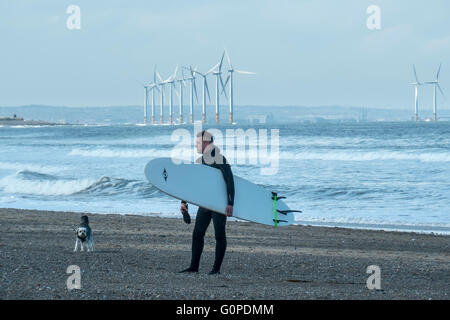 Surfer e cane, Marske Beach, Cleveland, North Yorkshire Foto Stock