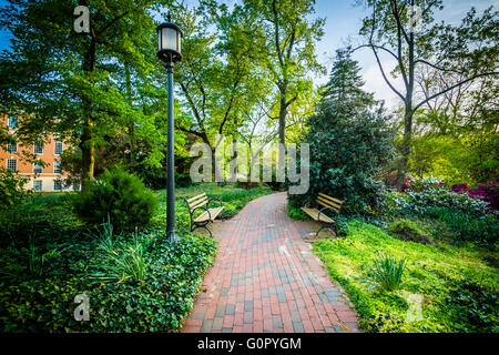 Giardini e Alberi lungo un marciapiede alla Johns Hopkins University, Baltimora, Maryland. Foto Stock